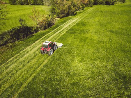 Foto de Aerial view of a tractor mowing a green fresh grass field, a farmer in a modern tractor mowing a green fresh grass field on a sunny day. High quality photo - Imagen libre de derechos