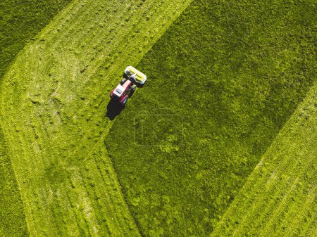 Foto de Aerial view of a tractor mowing a green fresh grass field, a farmer in a modern tractor mowing a green fresh grass field on a sunny day. High quality photo - Imagen libre de derechos
