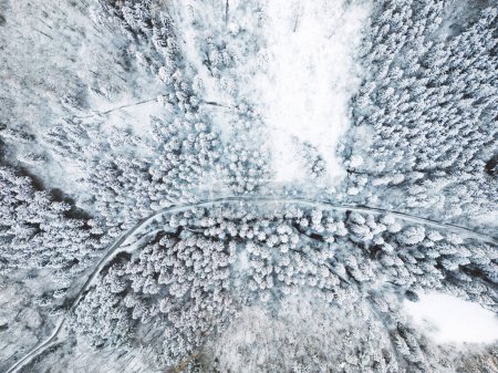Téléchargez les photos : Windy road in snow covered forest, top down aerial view. High quality photo - en image libre de droit