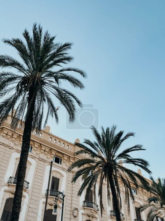 Téléchargez les photos : Découvrez la beauté de la Sicile à travers ces photos, avec les rues animées de Catane, les monuments historiques de Palerme et la vue imprenable sur Taormina. Ces clichés saisissent l'essence diversifiée et captivante de cette île italienne. - en image libre de droit