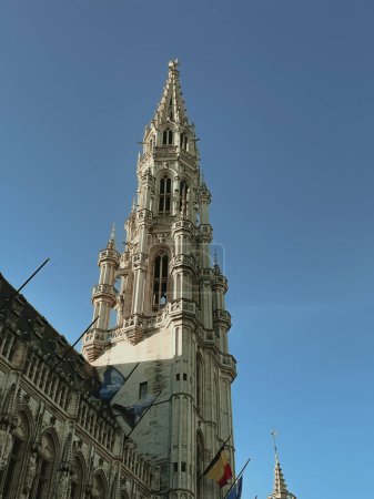 Découvrez l'essence de Bruxelles dans cette collection de photos captivantes, mettant en valeur ses monuments emblématiques, ses rues charmantes et son atmosphère vibrante. Ces clichés donnent un aperçu de la riche culture et de l'histoire de la capitale belge.