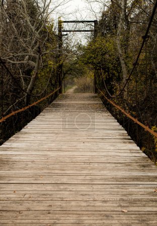Foto de Puente de madera en el bosque de otoño - Imagen libre de derechos