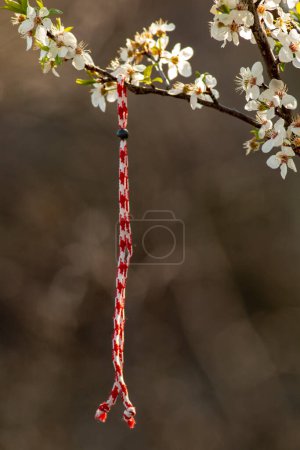 Photo for Bulgarian Martenitsa spring sign on the tree branch holiday postcard background - Royalty Free Image