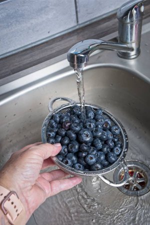 Téléchargez les photos : Rincer les bleuets dans une passoire en acier inoxydable sous l'eau courante dans un évier de cuisine - en image libre de droit