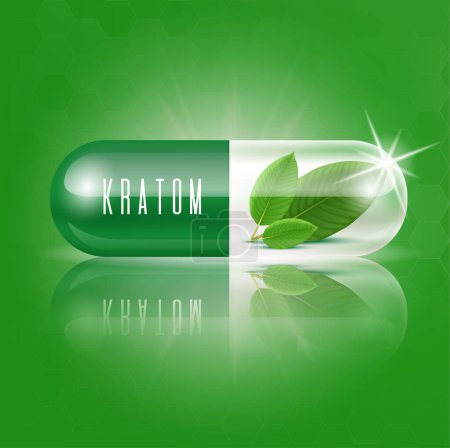 Illustration for Fresh green kratom leaves in capsules. (Mitragyna speciosa) Plant herbal alternative, narcotics, painkiller. Medical concepts and health supplements. Realistic 3D Vector illustration. - Royalty Free Image