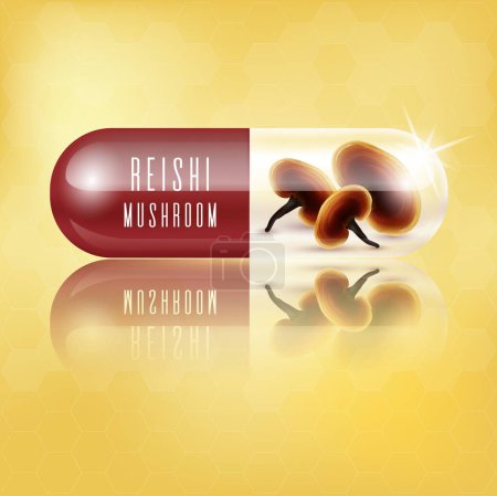 Illustration for Reishi mushroom in capsule vitamin. Medical concepts and health supplements. Realistic 3D Vector illustration. - Royalty Free Image