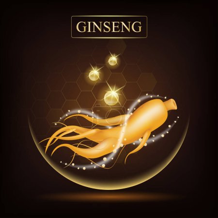 Ginseng Herbes traditionnelles chinoises, que l'utilisation pour la médecine et la nourriture célèbre en Asie. Superaliment sain. Vecteur EPS10