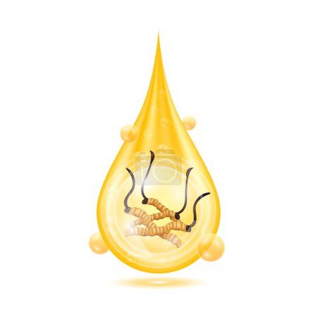 Téléchargez les illustrations : Cordyceps en goutte d'eau dorée et Vitamines collagène sérum orange brillant avec des bulles d'oxygène. Isolé sur fond blanc. Vecteur réaliste 3D Eps10. - en licence libre de droit