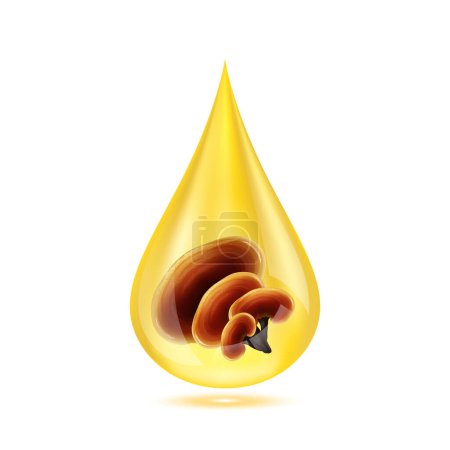 Illustration for Reishi mushroom (Ganoderma lucidum) in golden water drop. Traditional chinese herbs Isolated on white background. Premium grade health food supplement. 3D Realistic vector Eps10. - Royalty Free Image