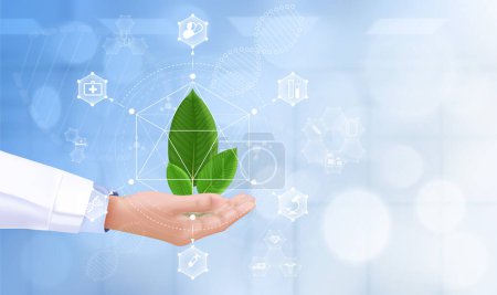 Illustration for Doctor hand holding fresh green kratom leaf (Mitragyna speciosa)  plant leaf for using herbal. Molecule structural model. Icon medical network connection, Medical science technology concept. 3D Vector. - Royalty Free Image