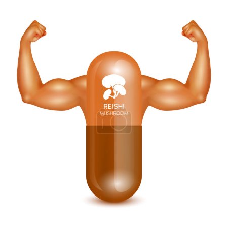 Illustration for Reishi mushroom and brown capsule with arms showing strong muscles powerful. Herbal alternative, tonic. Traditional chinese herbs, that using for medicine. Healthy medical concept. 3D vector. - Royalty Free Image