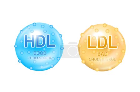 Illustration for Types of cholesterol with good HDL High density lipoprotein and bad LDL Low Density Lipoprotein. Cholesterol artery thrombosis microvascular disease. Icons isolated on a white background. 3D Vector. - Royalty Free Image