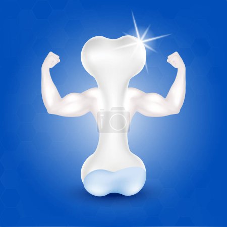 Ilustración de Hueso sano lleno de minerales cálcicos y vitaminas que muestran músculos blancos fuertes poderosos en un estilo vectorial 3D realista. Suplemento dietético óseo, médico o concepto sanitario. Sobre fondo azul - Imagen libre de derechos