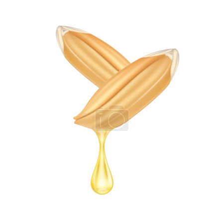 Illustration for Rice bran oil dripping from paddy ear rice seed close up realistic. Vegetarian organic ingredient for cooking. Oil drop extract shiny golden yellow 3D isolated on white background. Vector EPS10. - Royalty Free Image