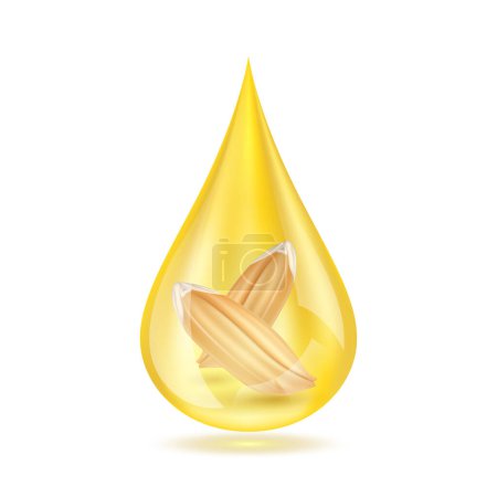 Ilustración de Paddy ear rice seed in oil dripping close up realistic. Vegetarian organic ingredient for cooking. Rice bran oil extract shiny golden yellow 3D isolated on white background. Vector EPS10. - Imagen libre de derechos