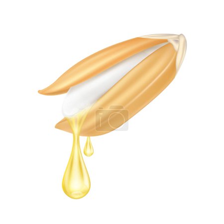 Ilustración de Rice bran oil dripping from paddy ear rice seed close up realistic. Vegetarian organic ingredient for cooking. Oil drop extract shiny golden yellow 3D isolated on white background. Vector EPS10. - Imagen libre de derechos