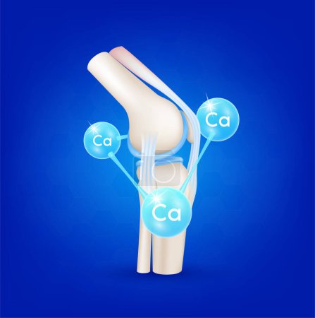 Illustration for Bone with molecule minerals calcium glittering. Dietary supplement knee joint pain in leg. Medical healthcare skeleton x ray scan concept. Realistic 3d vector illustration. - Royalty Free Image