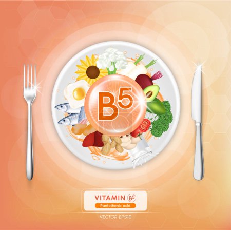Ilustración de Alimento con vitamina B5. Huevos, pescado, carne, frutas y verduras. Nutrición natural orgánica. Fuentes alimenticias de vitaminas y beneficios para la salud. Comida en platos y tenedores, cuchillos. Ilustración del vector de vista superior - Imagen libre de derechos