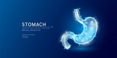 Website template. Human stomach anatomy translucent low poly triangles. Futuristic glowing organ hologram on dark blue background. Medical innovation diagnosis treatment concept. Banner vector. Mouse Pad 657750464