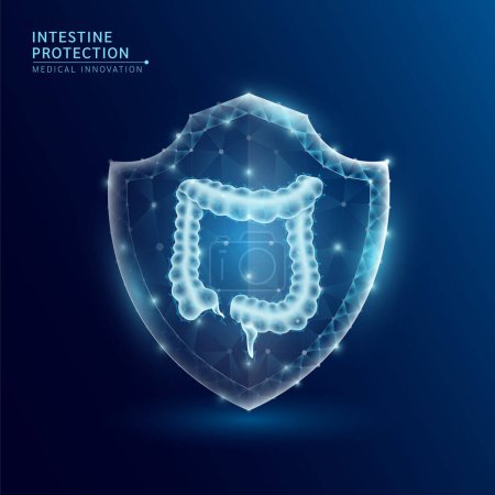 Human intestine anatomy organ translucent low poly triangle inside shield futuristic glowing. On dark blue background. Immunity protection medical innovation concept. Vector EPS10.