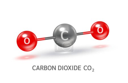 Dioxyde de carbone La molécule de CO2 modélise des formules grises et chimiques scientifiques. Concept d'écologie et de biochimie. Pollution atmosphérique contamination par des tuyaux industriels. sphères isolées 3D vecteur.