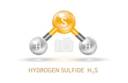Hydrogen Sulfide H2S molecule models grey and chemical formulas scientific. Ecology and biochemistry concept. Air pollution emissions contamination with industrial pipes. Isolated spheres 3D Vector.