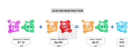 Reacción química que ocurre entre un ácido y una base propiedades para producir una sal. Potencial de hidrógeno, ion hidróxido y cloruro, sodio, solución ácida de agua. Concepto bioquímico. Vector.