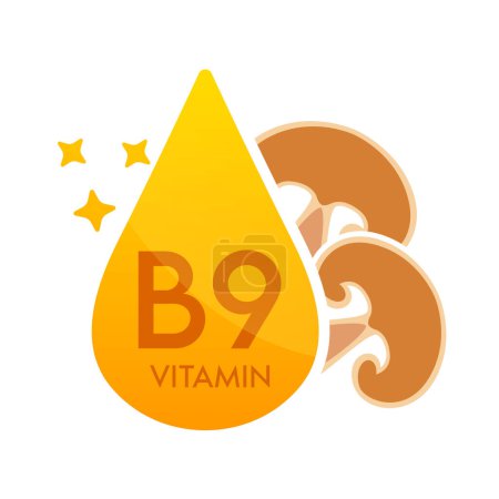 Ilustración de Vitamina B9 icono naranja con setas. Forma suero de gota línea simple aislado sobre un fondo blanco. Diseño para uso en medios impresos. Símbolo de suplemento alimenticio médico. Vector EPS10. - Imagen libre de derechos