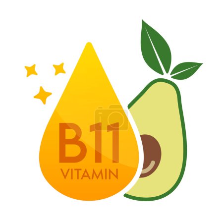 Ilustración de Icono de vitamina B9 naranja con aguacate de frutas verde. Forma suero de gota línea simple aislado sobre un fondo blanco. Diseño para uso en medios impresos. Símbolo de suplemento alimenticio médico. Vector EPS10. - Imagen libre de derechos