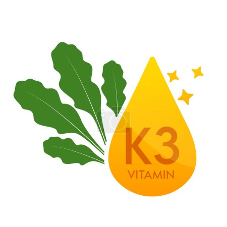 Ilustración de Icono de vitamina K3 con espinacas verdes vegetales. Forma suero de gota línea simple aislado sobre un fondo blanco. Diseño para su uso en web, aplicaciones y medios impresos. Concepto de símbolo de suplemento alimenticio médico. Vector EPS10. - Imagen libre de derechos