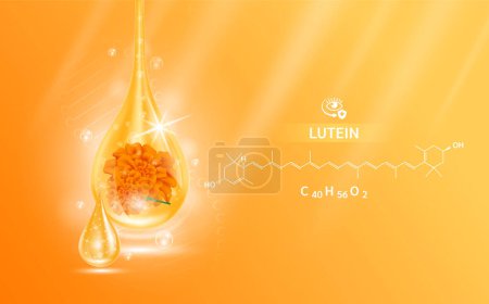 Illustration for Drop water lutein orange and structure. Vitamin complex with Chemical formula from marigold to nourish eyes. Medical and scientific concepts. 3D Realistic Vector EPS10. - Royalty Free Image