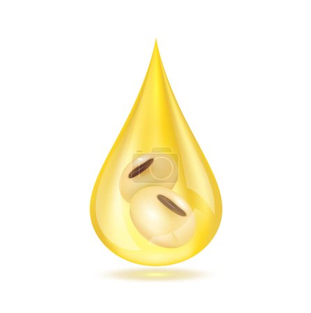 Ilustración de Beans seed inside oil drip close up realistic. Vegetarian organic ingredient for cooking. Soybean oil drop shiny golden yellow 3D isolated on white background. Vector EPS10 illustration. - Imagen libre de derechos