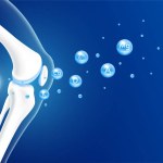 Vitamins minerals calcium zinc and magnesium absorbed into the bone cartilage. Healthy human skeleton anatomy isolated on blue background. Care bone knee joint. Realistic 3D vector.