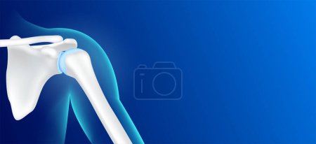Illustration for Human shoulder bone front and joint cartilage side on blue background with copy space for text. Human skeleton anatomy healthy. Medical health care science. X ray film concept. Realistic 3D vector. - Royalty Free Image