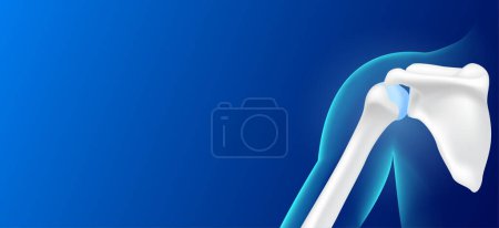 Illustration for Human shoulder bone behind and joint cartilage side on blue background with copy space for text. Human skeleton anatomy healthy. Medical health care science. X ray film concept. Realistic 3D vector. - Royalty Free Image