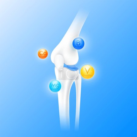 Calcium Boron Vanadium und Magnesium umgeben den Knochenknorpel. Vitamine Mineralstoffe pflegen das Knochenkniegelenk. Gesunde Anatomie des menschlichen Skeletts isoliert auf blauem Hintergrund. Realistischer 3D Vektor.