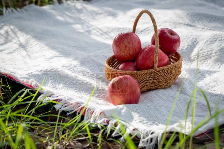 Foto de Manzanas rojas en una cesta en un picnic al aire libre estera. - Imagen libre de derechos