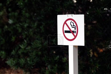 Foto de Cartel de no fumar al aire libre en un bosque en un soporte de madera contrachapada blanca. - Imagen libre de derechos