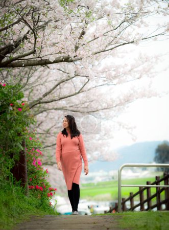 A happy pregnant woman strolling underneath the cherry blossom or sakura trees in spring. 