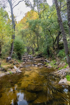 Photo for Wild water stream in the Sierra de Guadarrama, Madrid, Spain - Royalty Free Image