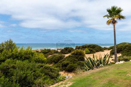 Photo for Sand dunes that give access to La Barrosa beach in Sancti Petri, Cadiz, Spain - Royalty Free Image