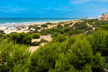 Photo for Sand dunes that give access to La Barrosa beach in Sancti Petri, Cadiz, Spain - Royalty Free Image