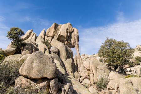 Photo for Rock called little elephant formed by granite in the mountains of La Pedriza in the Sierra de Guadarrama, Madrid - Royalty Free Image