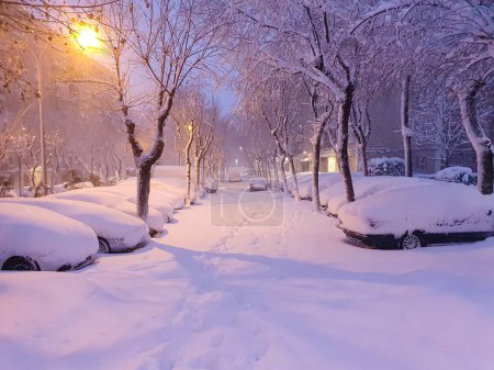 Foto de Snowscape in a park in Madrid due to the snowstorm Filomena. - Imagen libre de derechos