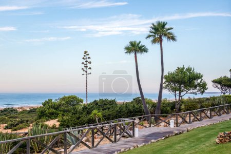 Photo for Wooden walkways to access the beach of La Barrosa, Cadiz, Spain - Royalty Free Image