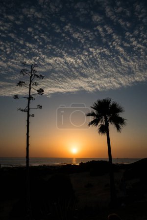 Téléchargez les photos : Coucher de soleil sur la plage de La Barrosa à Sancti Petri, Cadix, Espagne - en image libre de droit