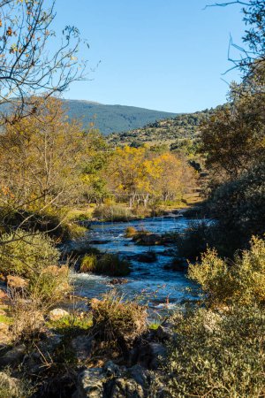 Photo for Lozoya river, with the colors of autumn, as it passes through the Sierra de Guadarrama in the province of Madrid, Spain - Royalty Free Image