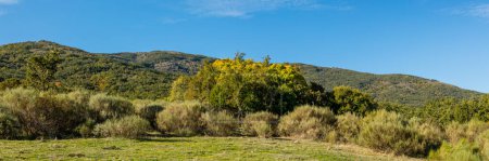 Photo for Lozoya valley, with the colors of autumn, as it passes through the Sierra de Guadarrama in the province of Madrid, Spain - Royalty Free Image