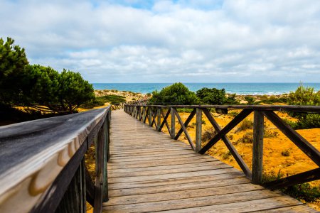 Photo for Wooden walkways, access to La Barrosa beach in Sancti Petri, Cadiz, Spain - Royalty Free Image