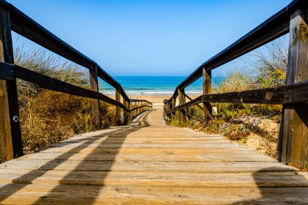Photo for Wooden walkways, access to La Barrosa beach in Sancti Petri, Cadiz, Spain - Royalty Free Image
